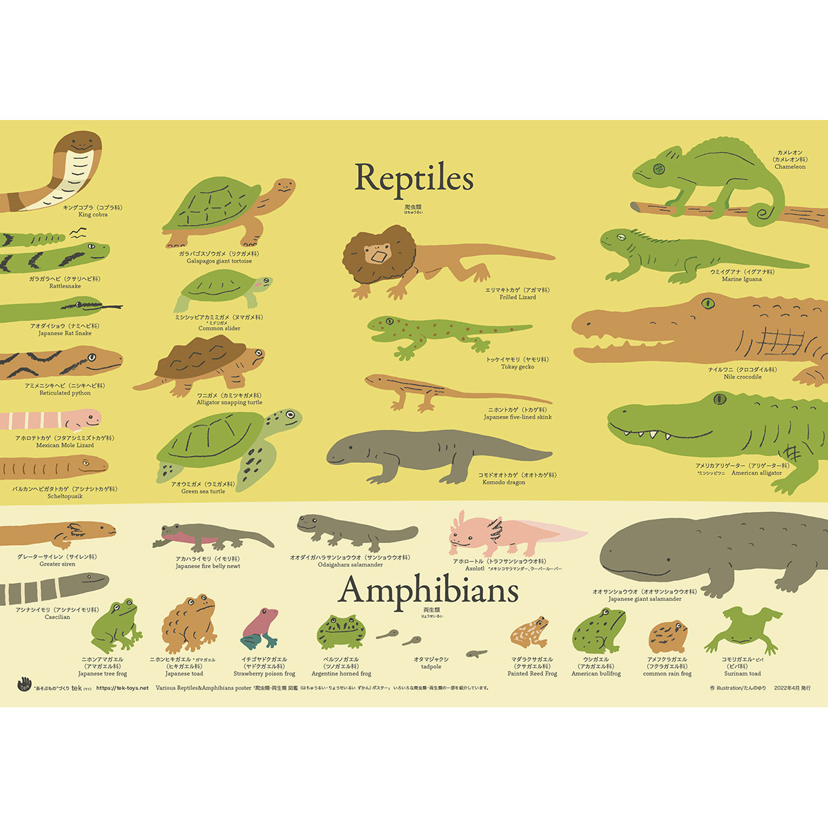 Amphibians 洋書　Reptiles 爬虫類、両生類 &