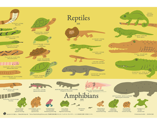 洋書　Reptiles & Amphibians 爬虫類、両生類 915InsXWcrL._UF350,350_QL50_.jpg
