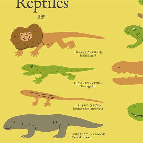 【送料無料】動物 爬虫類 両生類 南米 コスタリカ 図鑑 洋書 915InsXWcrL._UF350,350_QL50_.jpg