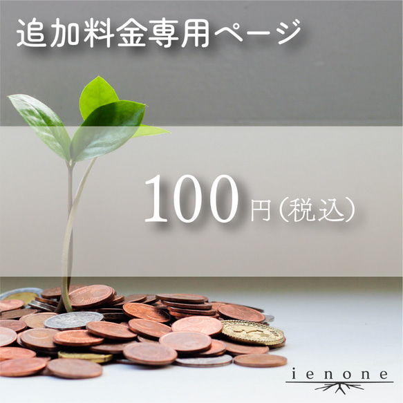 【表札オプション】追加料金100円 1枚目の画像