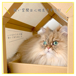 ニャンハウス　Nyan House　猫のダンボールハウス　爪とぎ　designed by mtm 3枚目の画像