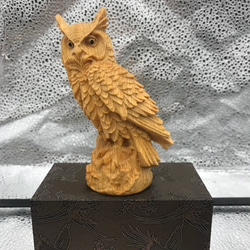 d47b82445b03c8f67c3b618cf5977f