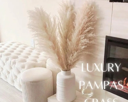 特大パンパスグラス♪お得な10本セット⭐︎とても良質です♡長いサイズですよ〜 big-pampas-1.jpg