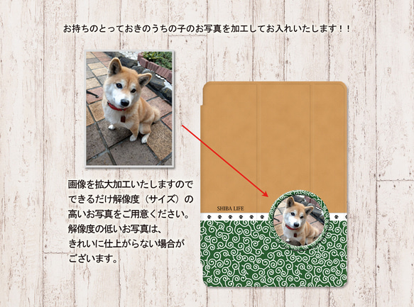 うちの柴犬ちゃんの写真で作るiPadケース（他犬種・猫ちゃんも可）（片面印刷/カメラ穴あり/はめ込みタイプ） 3枚目の画像