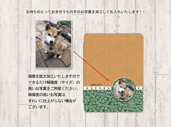 うちの柴犬ちゃんの写真で作るiPadケース【バックカバー：ソフトタイプ】（片面印刷/カメラ穴あり/はめ込みタイプ） 3枚目の画像