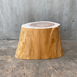 8a3b7120ef0425d06ea7499019582b