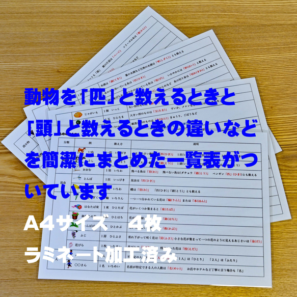 ものの数え方カード　はがきサイズ　説明書付き　数え方に　１～５の数の学習に 5枚目の画像