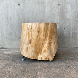 【ひのき切り株 スツール】丸太椅子  オブジェ フラワーディスプレイ サイドテーブル インテリア 植物 木 什器 アート 2枚目の画像
