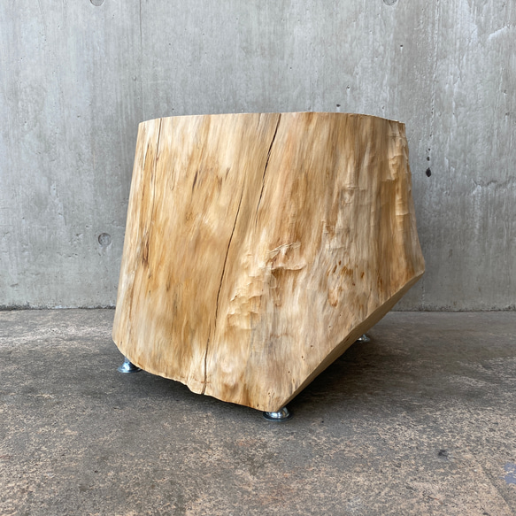 【ひのき切り株 スツール】丸太椅子  オブジェ フラワーディスプレイ サイドテーブル インテリア 植物 木 什器 アート 9枚目の画像