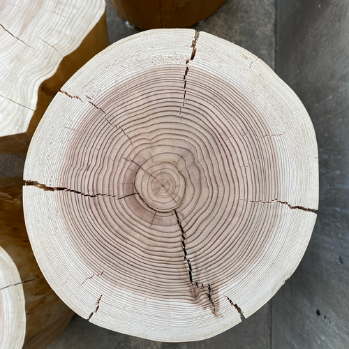 ☆一点物☆即日発送可☆杉の切り株 アルコールスタンド 丸太 オブジェ