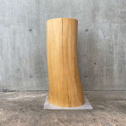 杉の切り株のアルコールスタンド】丸太 オブジェ ディスプレイ