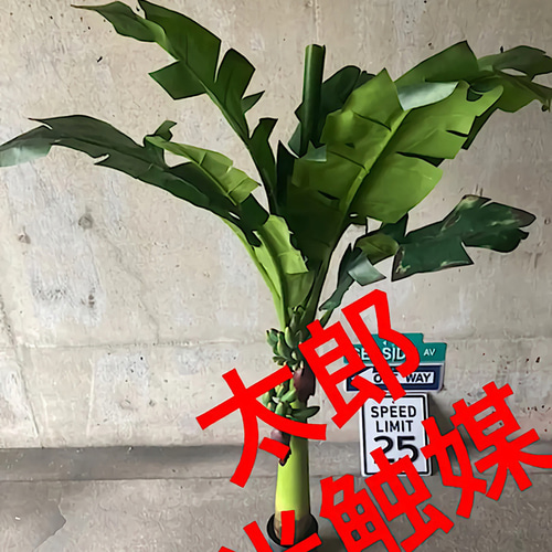 光触媒　人工観葉植物　ウォールグリーン　造花　アレンジ　ヤシとバナナ 光触媒人工観葉植物ウォールグリーン造花アレンジヤシとバナナ