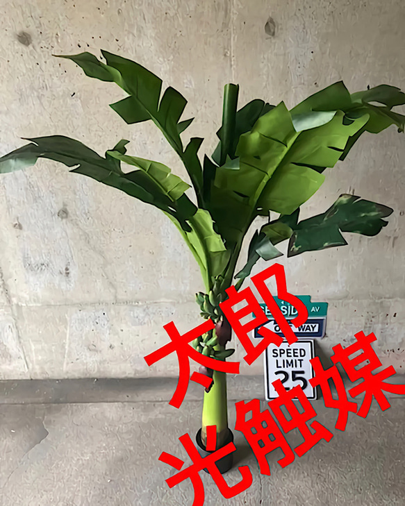 光触媒　人工観葉植物　ウォールグリーン　造花　アレンジ　ヤシとバナナ 光触媒人工観葉植物ウォールグリーン造花アレンジヤシとバナナ