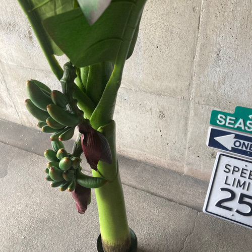 光触媒 人工観葉植物 ウォールグリーン フェイク フラワー