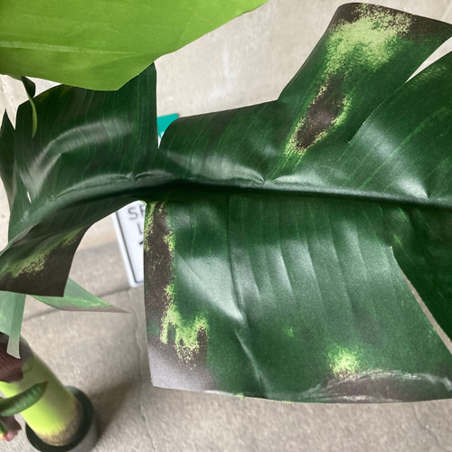 光触媒　人工観葉植物　ウォールグリーン　造花　アレンジ　ヤシとバナナ 光触媒 人工観葉植物 ウォールグリーン 造花 アレンジ ヤシとバナナ