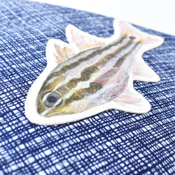 『スジイシモチくん』浴衣とデニムのお魚ショルダーバッグ（サコッシュ） 5枚目の画像