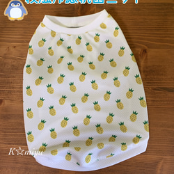 犬服 ジャガードニット生地/DS.M ペット服・アクセサリー K☆miyu 通販