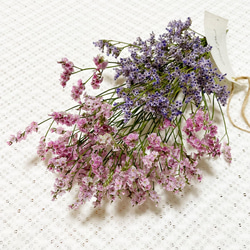 ドライフラワー❇️スターチス 4種類❣️ ドライフラワー「スターチス」 | tokyo_shokubutsu_zufu