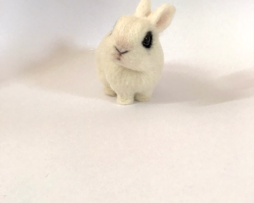 羊毛フェルト うさぎ ネザーランド・ドワーフ ハンドメイド ぽぽ 羊毛フェルト 小さな小さなうさぎさん ミニチュア ネザーランド