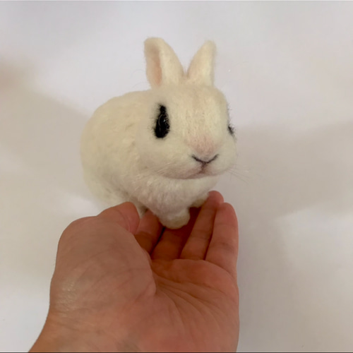 うさぎ 羊毛フェルト ドワーフホト ミニうさぎ ネザーランド