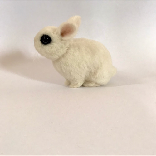 【確認用】鴉の子✽羊毛フェルト うさぎ 羊毛フェルト ドワーフホト ミニうさぎ ネザーランド