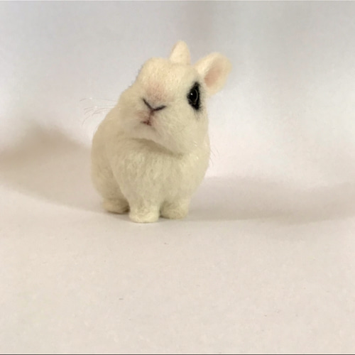 うさぎ 羊毛フェルト ドワーフホト ミニうさぎ ネザーランド