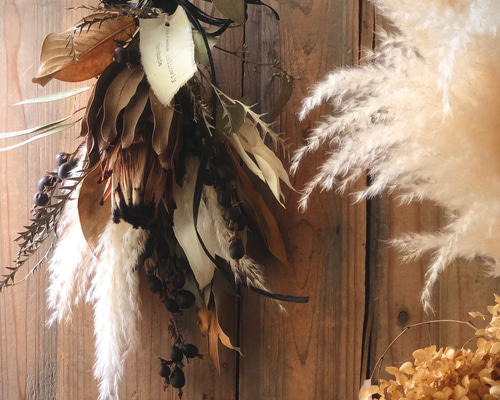 専用＊winter＊D. Nプロテア＆パンパス ドライフラワースワッグ 81503a514829e282c0493a010c1e13