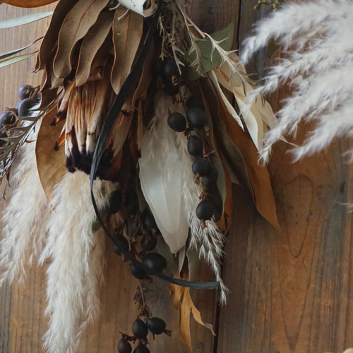 専用＊winter＊D. Nプロテア＆パンパス ドライフラワースワッグ ドライフラワースワッグ横型 M【Dried Flowers swag M