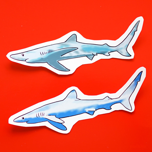 貼紙型貼紙藍鯊（2套） 第1張的照片