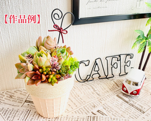 寄せ植えセット】多肉植物カット苗5個 ＋ アイスコーン型素焼き鉢