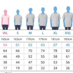 歌川国芳 金魚の視力検査Tシャツ　6色展開　ユニセックスサイズ 11枚目の画像