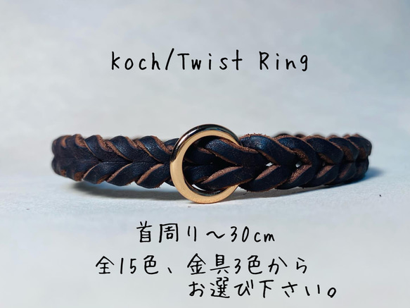 koch/Twist Ring  猫用首輪　オーダーメイド 1枚目の画像