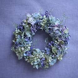 水色紫陽花のグラデーションリース✳︎ドライフラワー◎20センチ 1枚目の画像