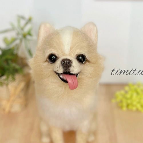 羊毛フェルト ハンドメイド オーダーメイド 犬【スムースチワワ