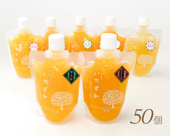 【大容量】かんきつジュレ「いちずみ」５０個バラエティセット　(紅まどんな・せとか かんきつジュレ「いちずみ」バラエティセット＜50個入＞（紅まどんな