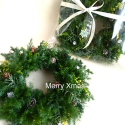 しめ縄リース02 しめ縄・しめ飾り cocoro+ 通販 18623708｜Creema