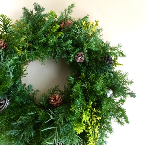 針葉樹のクリスマスリース 針葉樹のクリスマスリースS リース cocoro+ 通販 14364220