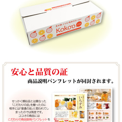 【紅まどんな・せとか入】かんきつジュレ「いちずみ」７種食べ比べ＜７個入＞【お試し・手土産・自宅用】 3枚目の画像