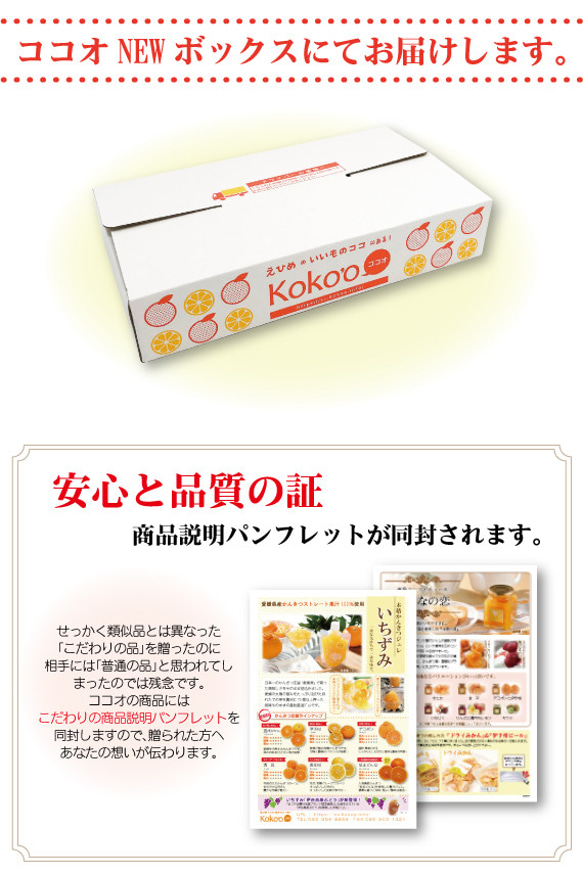 【紅まどんな・せとか入】かんきつジュレ「いちずみ」７種食べ比べ＜７個入＞【お試し・手土産・自宅用】 3枚目の画像