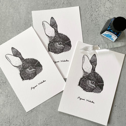 ウサギの活版印刷ポストカード　3枚組 1枚目の画像