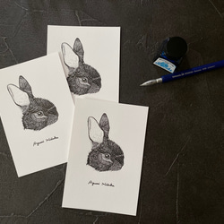 ウサギの活版印刷ポストカード　3枚組 8枚目の画像