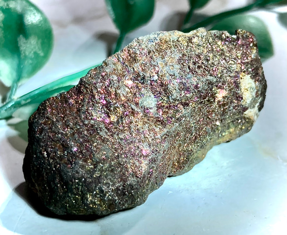 世界に一つだけのチン妙な石　値下げ可能 CJ0006 【プレミアム】 ☆隕石☆ コンドライト隕石（サハラ