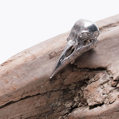 烏（カラス）頭蓋骨「導きの神をその手に」- ホワイトメタルスカル