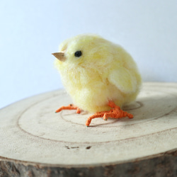 【ヒヨコ】ふわふわもふもふリアルひよこちゃん/羊毛フェルト　鳥　小鳥　フェルト　 2枚目の画像