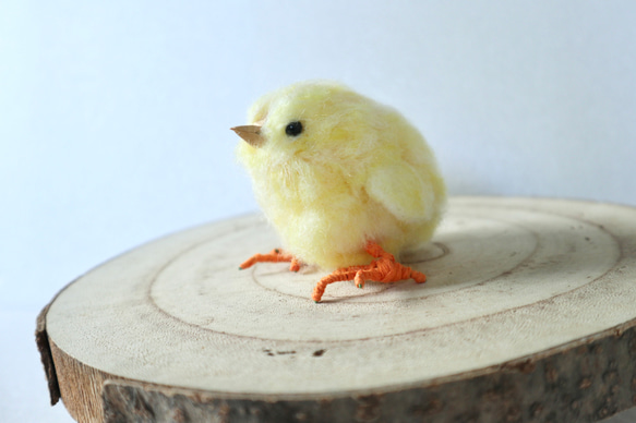 【ヒヨコ】ふわふわもふもふリアルひよこちゃん/羊毛フェルト　鳥　小鳥　フェルト　 2枚目の画像