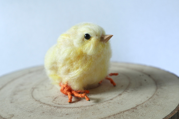 【ヒヨコ】ふわふわもふもふリアルひよこちゃん/羊毛フェルト　鳥　小鳥　フェルト　 4枚目の画像