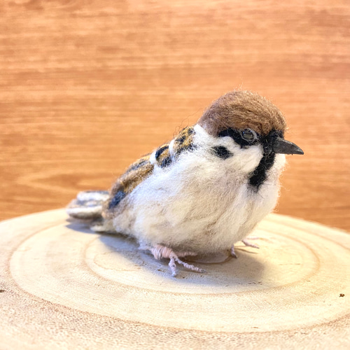 スズメ】リアルスズメちゃん /雀 すずめ 野鳥 鳥 小鳥 羊毛フェルト