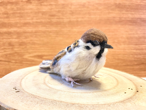 【スズメ】リアルスズメちゃん　/雀　すずめ　野鳥　鳥　小鳥　羊毛フェルト　チュン　インテリア雑貨　癒し　ぬいぐるみ 11枚目の画像