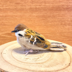 【スズメ】リアルスズメちゃん　/雀　すずめ　野鳥　鳥　小鳥　羊毛フェルト　チュン　インテリア雑貨　癒し　ぬいぐるみ 6枚目の画像