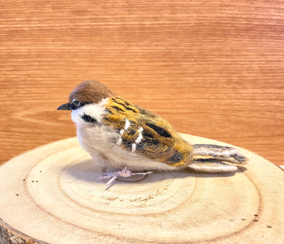 【スズメ】リアルスズメちゃん　/雀　すずめ　野鳥　鳥　小鳥　羊毛フェルト　チュン　インテリア雑貨　癒し　ぬいぐるみ 6枚目の画像